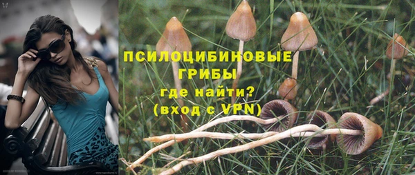 дживик Рославль